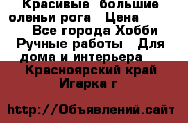 Красивые  большие оленьи рога › Цена ­ 3 000 - Все города Хобби. Ручные работы » Для дома и интерьера   . Красноярский край,Игарка г.